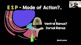 Current Concepts on Fascial Plane Blocks [upl. by Ahsener155]