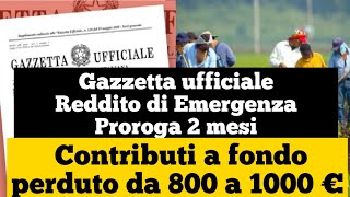 REM 800 euro  Bonus Contributi a fondo perduto  covid report [upl. by Jody]