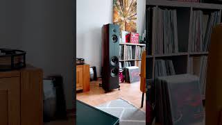 Corinium in Action Aus der neuen Welt Live Original Sound schallplatten hifi highend [upl. by Batha999]