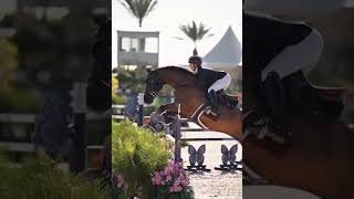 Horse show jumping 🐴🐎🌸🥕 horse horseing equestrian horseridind horseridding [upl. by Boj]