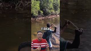 Física da pesca shorts Física [upl. by Hermon]