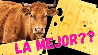 LA VACA🐄 🐮 Videos educativos para niños  Los animales Animales de Granja Documentales para niños [upl. by Arekahs25]