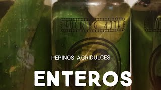 🔥PEPINOS AGRIDULCES ENTEROS  SWEET RELISH 🥒🥒🥒 Conservas y adicionales ENTRE DOS PANES 👀 [upl. by Olecram]