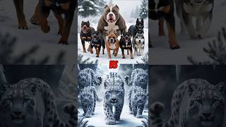 Top 10 strong giant dog of America Pit Bull vs  Red Fox Hyena Bear Leopard Wolf  dog animal [upl. by Naedan]