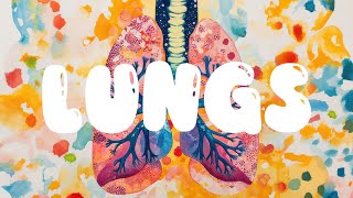 🎵 Lungs Working For You  Fun and Educational Song for Kids  🫁 Lungs Song 🎵 [upl. by Leighton]