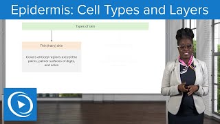 Epidermis Cell Types and Layers – Physiology  Lecturio Nursing [upl. by Sitof]