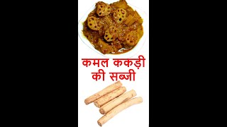 कमल ककड़ी की मसालेदार सब्ज़ी  Kamal Kakdi Sabzi  Nadru Recipe  Kamal Kakdi Sabji  Lotus Stem Curry [upl. by Nitsirk]