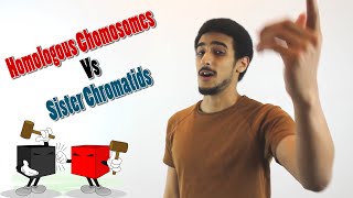 Homologous chromosomes Vs Sister Chromatids شرح بالعربي [upl. by Hackett688]