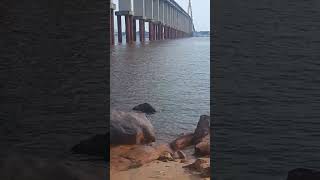 Seca do Rio na Ponte Rio negro brazil amazonas fishing nature shorts [upl. by Ysabel]