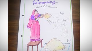 Winnowing drawing  class 6 ch3 art how to draw winnowing  a lady doing work drawing  easy drawing [upl. by Leugimesoj122]