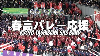 ハイライト☆京都橘高校吹奏楽部☆春の高校バレー☆応援☆1回戦☆ [upl. by Aiello]