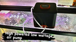 High powered low wattage air pump bigdvsfish hygger hyggeraquarium airpump aquariumproducts [upl. by Ahsiled16]