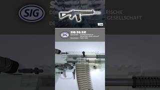 SIG SG 551 Assaults rifle [upl. by Hortense]