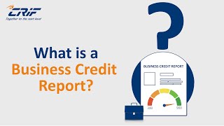 What is a Business Credit Report  CRIF Business Credit Report Explained [upl. by Labotsirhc]