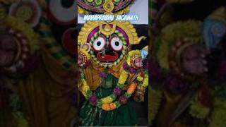 DONT MISS the Shocking Benefits of Mahaprabhu Jagannath Darshanshortsvideo puri jagannath [upl. by Letnuahs]