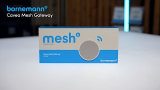 Unboxing  Cavea Mesh Wirepas Gateway Indoor [upl. by Ileyan]