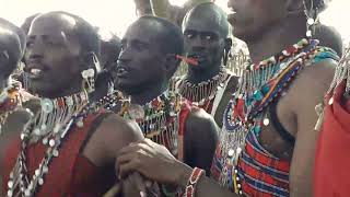 Discover the Mesmerising Art of Maasai Throat Singing [upl. by Arakihc703]