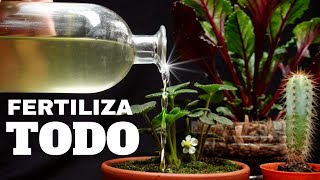 ♻️FERTILIZANTE Líquido BIOLÓGICO  BioPecera  🍅ORGÁNICO 🌴 [upl. by Aihsemat]