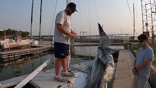 J24 Rigging Basics  Rigging the genoa [upl. by Ahseiyk]