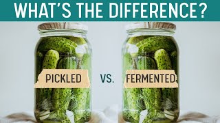 PICKLING vs FERMENTING  Whats the Difference Quick Grocery Store ID [upl. by Naniac]