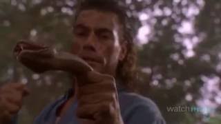 Top 10 JeanClaude Van Damme Moments [upl. by Obediah]