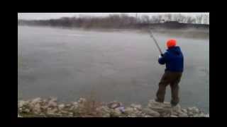 Brads Asian Carp at Powerton Lake Illinois [upl. by Malia]