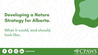 Developing a Nature Strategy for Alberta [upl. by Orabla813]