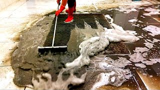 Muck  Muck carpet cleaning satisfying rug cleaning ASMR [upl. by Platus]