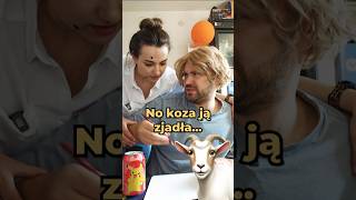 Gdzie się podziała koza 🐐 😂 Zobacz co narysował Maciuś śmieszne rodzinka suchary [upl. by Morentz]