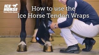 How to apply the Ice Horse Tendon Wraps [upl. by Lamdin]