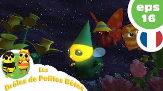 DRÔLES DE PETITES BÊTES  EP16  Les pouvoirs magiques [upl. by Yrtneg]