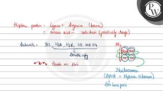 Read the following statements and choose the set of correct statementsA Euchromatin is loosely [upl. by Kcod]