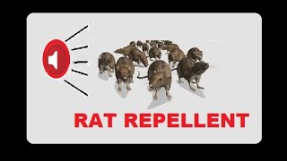 ANTI RAT REPELLENT  MOUSE KILLER SOUND  VERY HIGH PITCH SOUND 10 Hrs [upl. by Llewej]