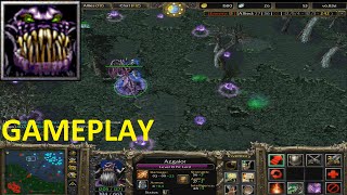 DotA  Pit Lord Gameplay [upl. by Aihtenyc750]