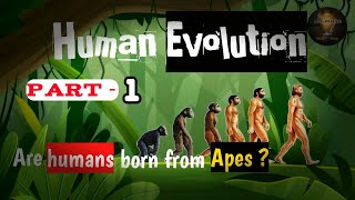 Human Evolution  part 1  evolution zoology [upl. by Farl]