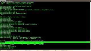 Web Cache Communication Protocol WCCP V1 [upl. by Aissila815]