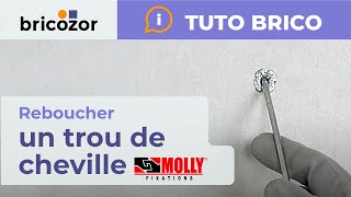 Comment reboucher un trou de cheville Molly dans une plaque de plâtre  Tuto Bricozor [upl. by Dnama]