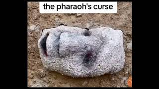 The Pharaohs curse meme compilation [upl. by Waller]