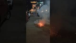 1000 rally fireworks  Happy Diwali 🎇🪔fireworks skyshot diwali special shorts youtubeshorts [upl. by Lama]