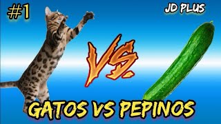 GATOS Vs PEPINOS 2020  PRIMERA PARTE [upl. by Frye]