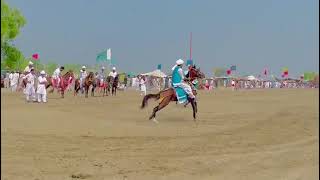 Exploring Desi Horses amp Thrilling Tentpegging in Pakistan Nezabazi horse lovers [upl. by Aynatan]