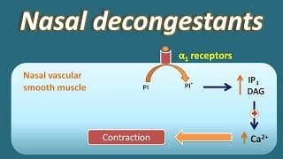 Nasal decongestant  How they act [upl. by Cailly]