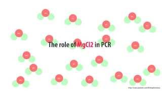 The role of MgCl2 in PCR  simple animated HD [upl. by Tore38]