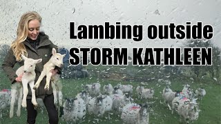 AWFUL WEATHER GREAT LAMBS Lambing updates  Dale farm [upl. by Evoy]