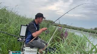 LiVE FISHING 47 Yare Skimmers [upl. by Tterab466]