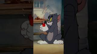 Tom y Jerry en Latino  shorts  WBKidsLatino​ [upl. by Notniuqal]