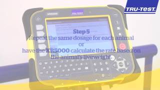 How to record animal health treatments for compliance  XR5000 ǀ TruTest [upl. by Aylmar]