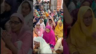 Dhan Baba Deep Singh Ji viral gurbani kirtan shorts video trending reels youtubeshorts [upl. by Mareld527]