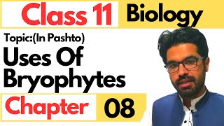 Uses of bryophytes  Class 11 biology chapter 8 in pashto [upl. by Heintz]