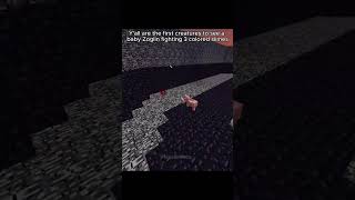 I guarantee you havent seen this before 👀 shorts minecraft [upl. by Bensen]